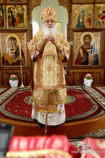 Митрополит Викентий: «Нашу волю мы должны усмирять…»