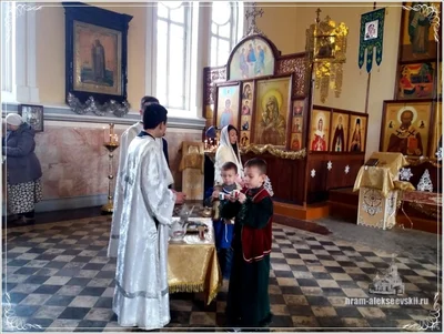 Рождество Христово — необыкновенно добрый и тёплый праздник