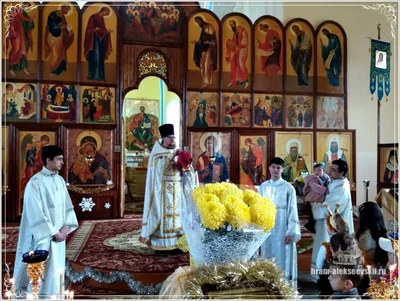 Рождество Христово — необыкновенно добрый и тёплый праздник
