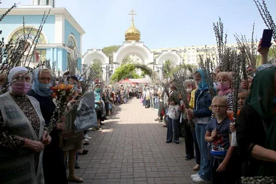 В праздник Входа Господня в Иерусалим митрополит Викентий освятил вербы