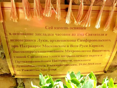 100-летие архиерейской хиротонии святителя Луки: праздничная Литургия на кладбище Пенджикента