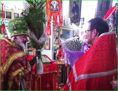 Памяти протоиерея Димитрия Козулина — благочинного и наставника Самаркандского духовенства