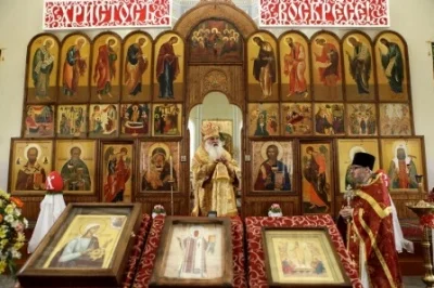 Митрополит Викентий: «Нашу волю мы должны усмирять…»