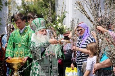 В праздник Входа Господня в Иерусалим митрополит Викентий освятил вербы